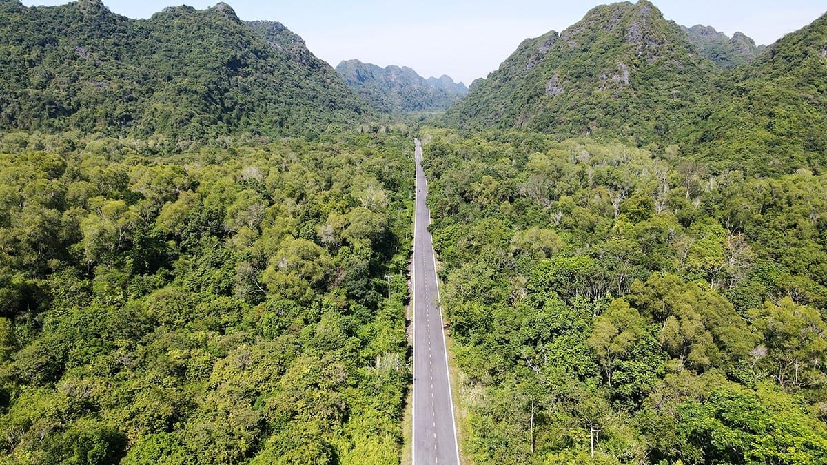 1.5-Hour Easy Rider Cat Ba National Park & Caving Adventure